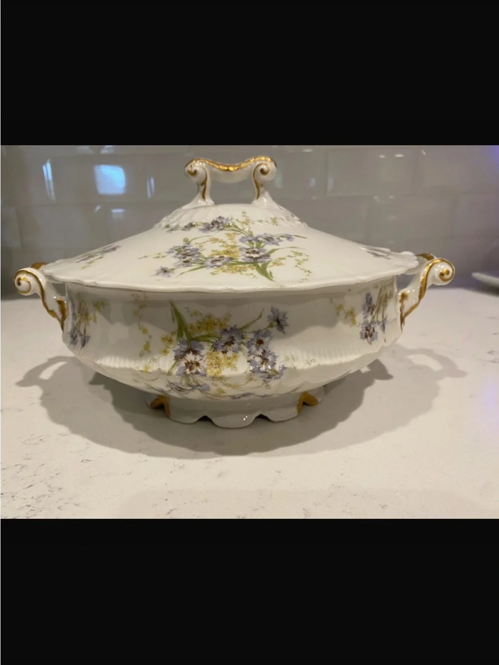 Theodore Haviland Limoges porcelain covered soup tureen / vegetable dish
